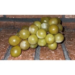 Vintage Green Plastic Rubber Grape Cluster Decorative Fruit Mediterranean Decor